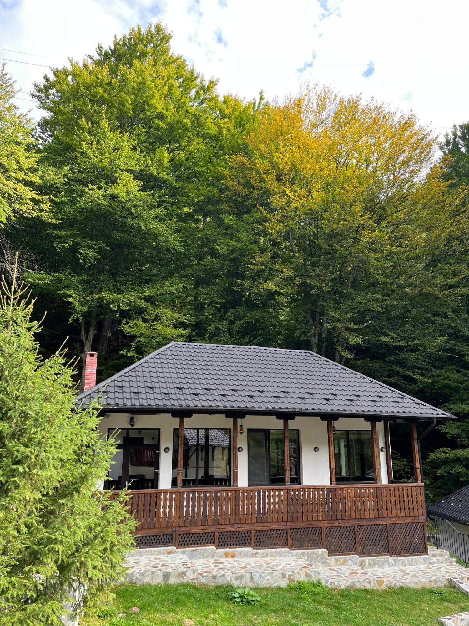 Poiana Mucenicului Hotel Arefu Eksteriør billede